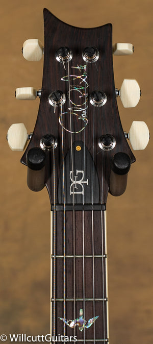 PRS Wood Libarary DGT Goldtop Brazilian Fingerboard