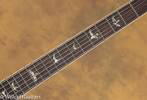PRS Wood Libarary DGT Goldtop Brazilian Fingerboard