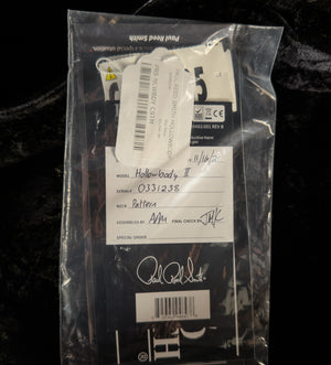 2021 PRS Hollowbody II Custom Color Eriza Verde Smokeburst