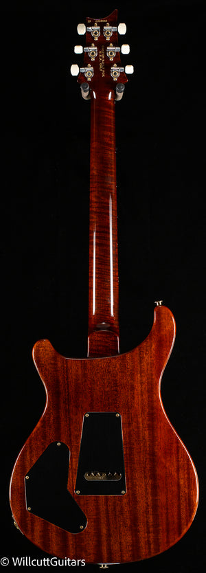 PRS Wood Library DGT Gold Top Brazilian (220)