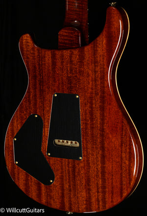 PRS Wood Library DGT Gold Top Brazilian (220)