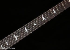 PRS Wood Library DGT Gold Top Brazilian (223)