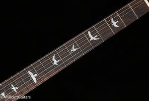 PRS Wood Library DGT Gold Top Brazilian (225)