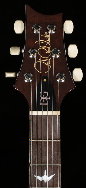 PRS Wood Library DGT Gold Top Brazilian (226)
