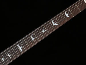 PRS Wood Library DGT Gold Top Brazilian (226)