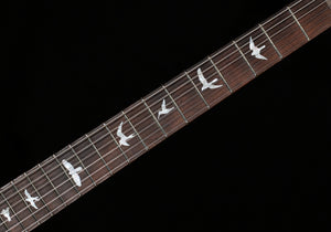 PRS Wood Library DGT Gold Top Brazilian (228)