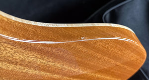 2023 PRS CE 24 Willcutt Exclusive Blue Crab Blue