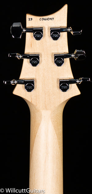 PRS CE 24 Willcutt Exclusive Tortoise Shell (047)