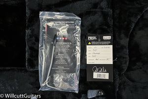 PRS DGT David Grissom Tremolo Grissom Gold Top (464)