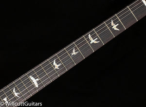 PRS DGT David Grissom Tremolo Gold Top (008)