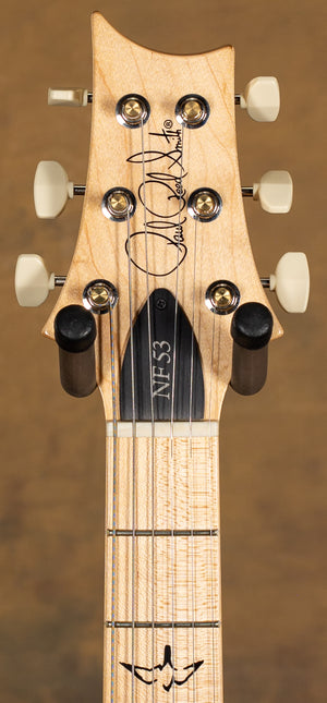 PRS NF 53 Swamp Ash Body Blue Matteo