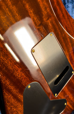 2023 PRS Wood Library DGT Gold Top Brazilian