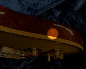 2023 PRS Wood Library DGT Gold Top Brazilian