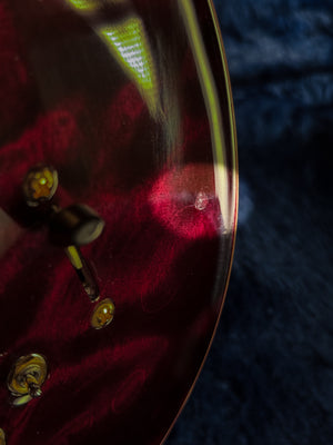 2023 PRS Wood Library Special Semi Hollow 10 Top Brazilian