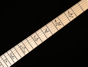 PRS NF 53 Black Doghair (538)