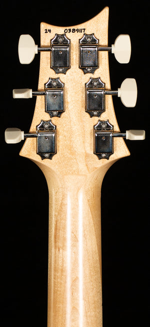 PRS NF 53 Doghair Smokeburst Custom Color (117)