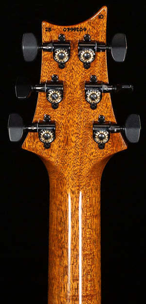 PRS Kanami Tono Ltd Run Custom 24-08 Trampas Green Smokeburst 10 Top (209)