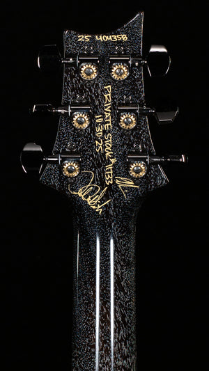 PRS Private Stock 11733 Custom 24 White Doghair Ash Top (358)