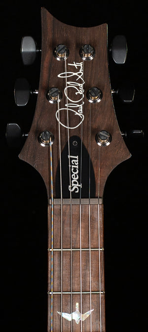 PRS Wood Library Willcutt Exclusive Special Semi-Hollow 10 Top Purple Mist (931)