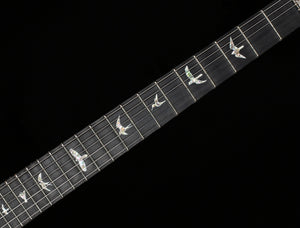 PRS Custom 24 Floyd Aurora Borealis 10 Top (364)