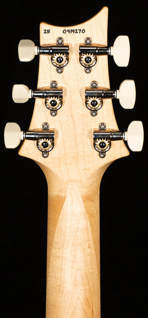 PRS Limited Edition CE 22 Carroll Blue (270)