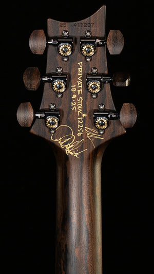 PRS Private Stock 12256 Custom 24 Aqua Violet (207)