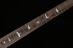 PRS Private Stock 12256 Custom 24 Aqua Violet (207)