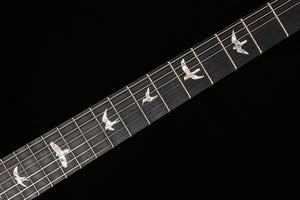 PRS Custom 24 Floyd Aurora Borealis 10 Top (518)