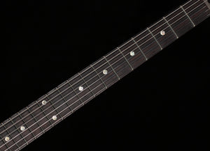 PRS DGT Semi-Hollow Private Stock Color Tiger Eye (694)