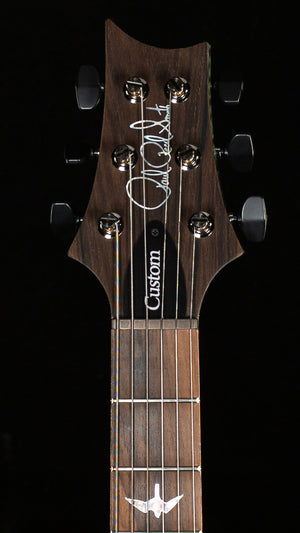 PRS Custom 24-08 Limited Edition Private Stock Color Sage 10 Top (162)