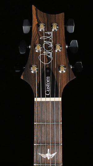 PRS Limited Edition Wood Library Custom 24 Stoptail Purple Mist 10 Top (270)