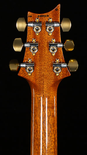 PRS Astryx Limited Edition Dany Villarreal Signature Ocaso 10 Top (219)