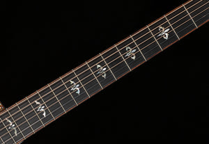 2019 Taylor 912ce Grand Concert (098)