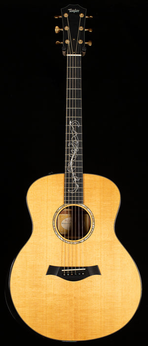 2010 Taylor GSce 2010 Fall Limited (148)