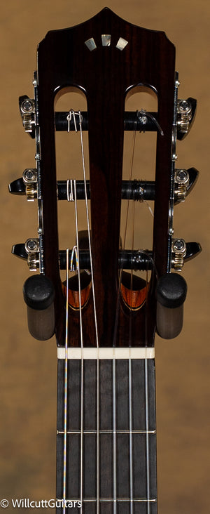 Cordoba Fusion 14 Maple w/ Gigbag