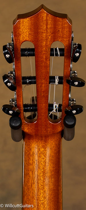 Cordoba Fusion 14 Maple w/ Gigbag