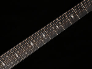 Taylor 314ce LTD Shaded Edge Burst 50th Anniversary (110)