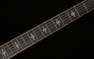 Taylor Builder's Edition 914ce Honduran Rosewood/Sinker Redwood (027)