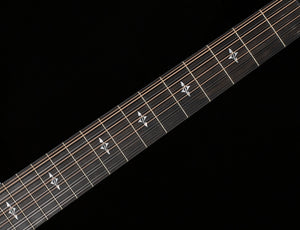 Taylor 454ce 12-String Grand Auditorium Indian Rosewood (046)
