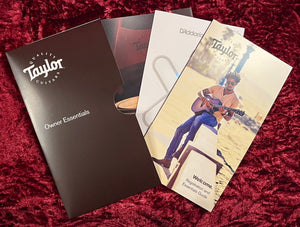 Taylor 314ce Grand Auditorium Sapele (023)