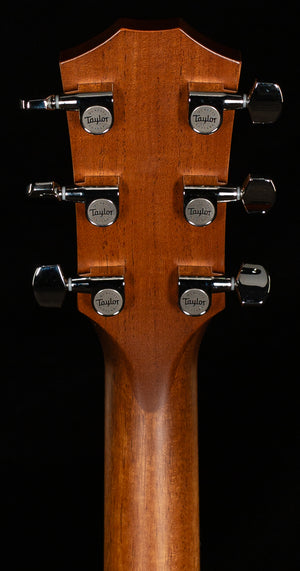 Taylor 514ce Urban Ironbark/Torrefied Sitka (008)