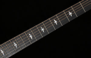 Taylor Builder's Edition 614ce Wild Honey Burst (121)