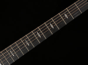 Taylor 312ce Spruce/Sapele (001)