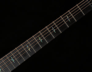Taylor Next Generation K24ce Special Edition (039)