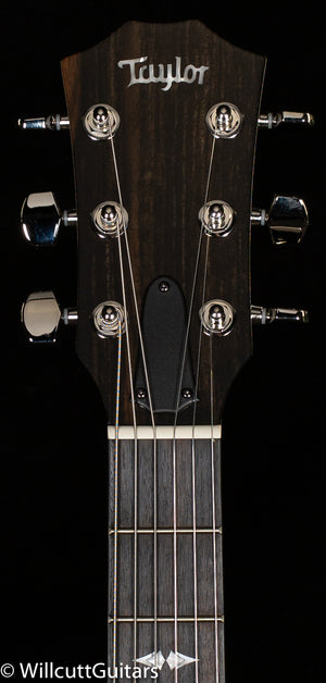 Taylor T5z Pro Harbor Blue (002)