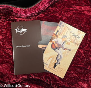 Taylor T5z Pro Tobacco Sunburst (003)