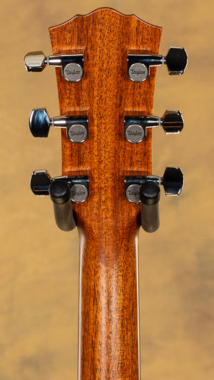 2025 Gold Label Taylor 717e Acoustic Guitar