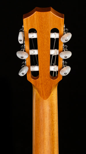 Taylor 812ce-Nylon Indian Rosewood (069)