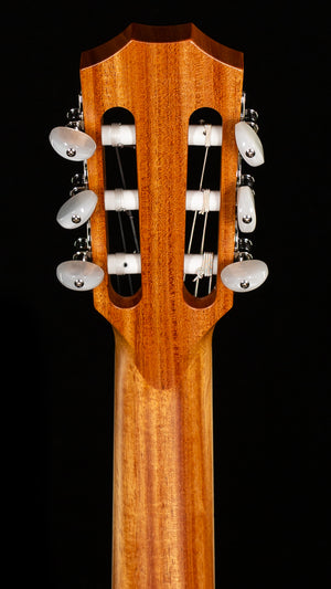 Taylor 814ce-Nylon Indian Rosewood (088)