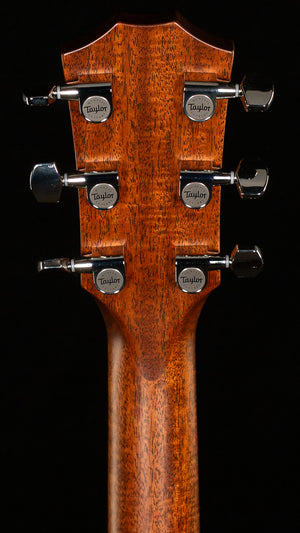 Taylor Next Generation 414ce (004)